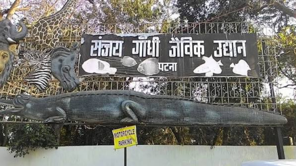 Patna Zoo Timings