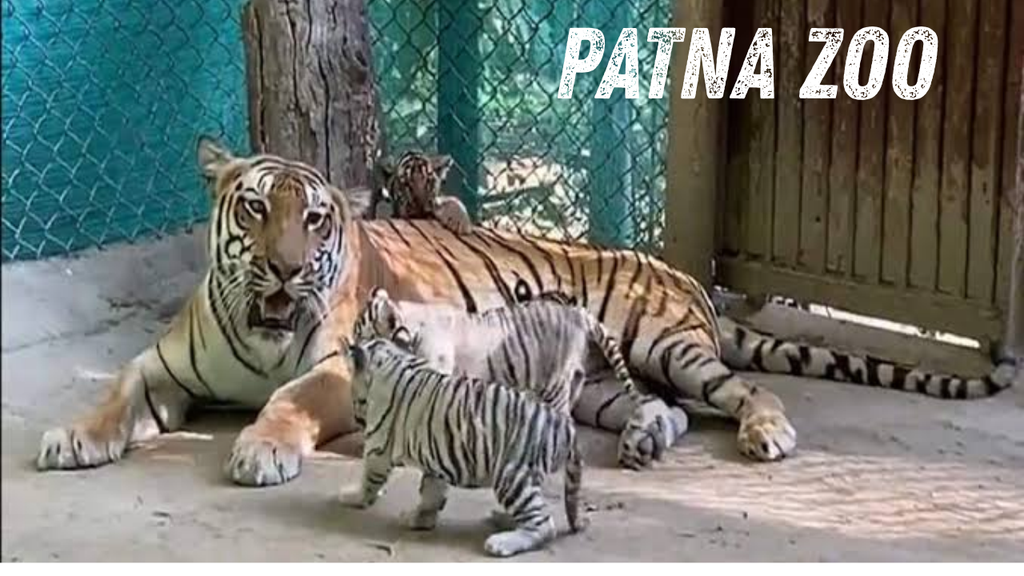 Patna Zoo Ticket Price