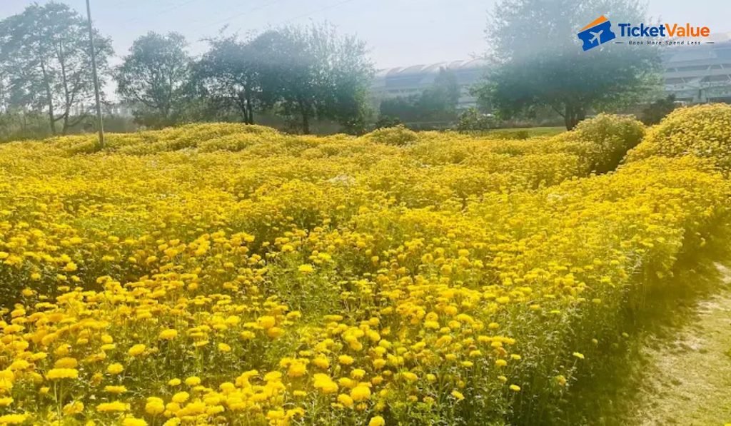 Baansera Park Online Ticket Booking