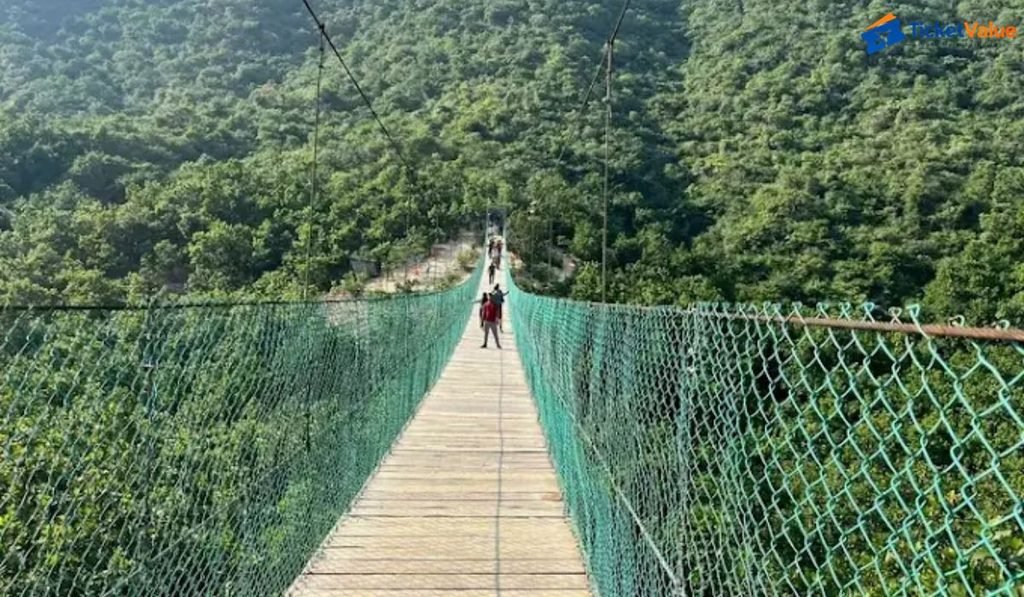 Rajgir Glass Bridge Timings