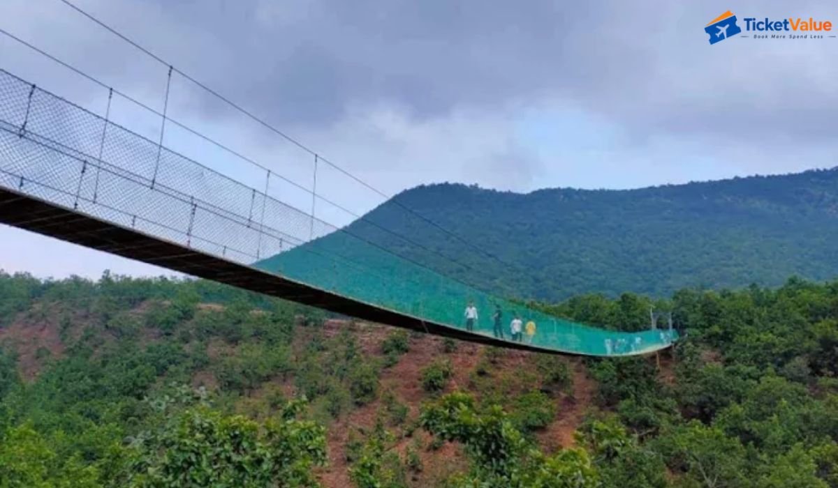 Rajgir Glass Bridge Ticket Price